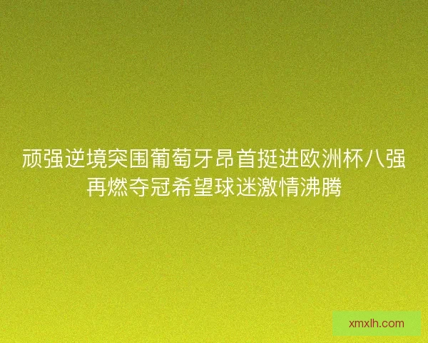 顽强逆境突围葡萄牙昂首挺进欧洲杯八强再燃夺冠希望球迷激情沸腾