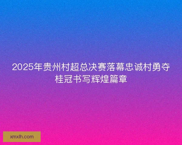 2025年贵州村超总决赛落幕忠诚村勇夺桂冠书写辉煌篇章