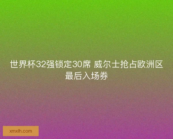 世界杯32强锁定30席 威尔士抢占欧洲区最后入场券